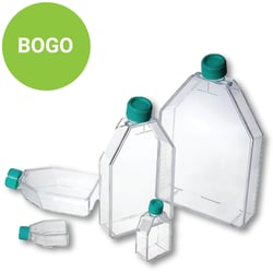 NestCellFlask-500x500